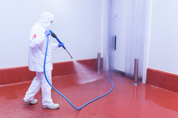 Best Spring Cleaning  in Spring Lake Park, MN